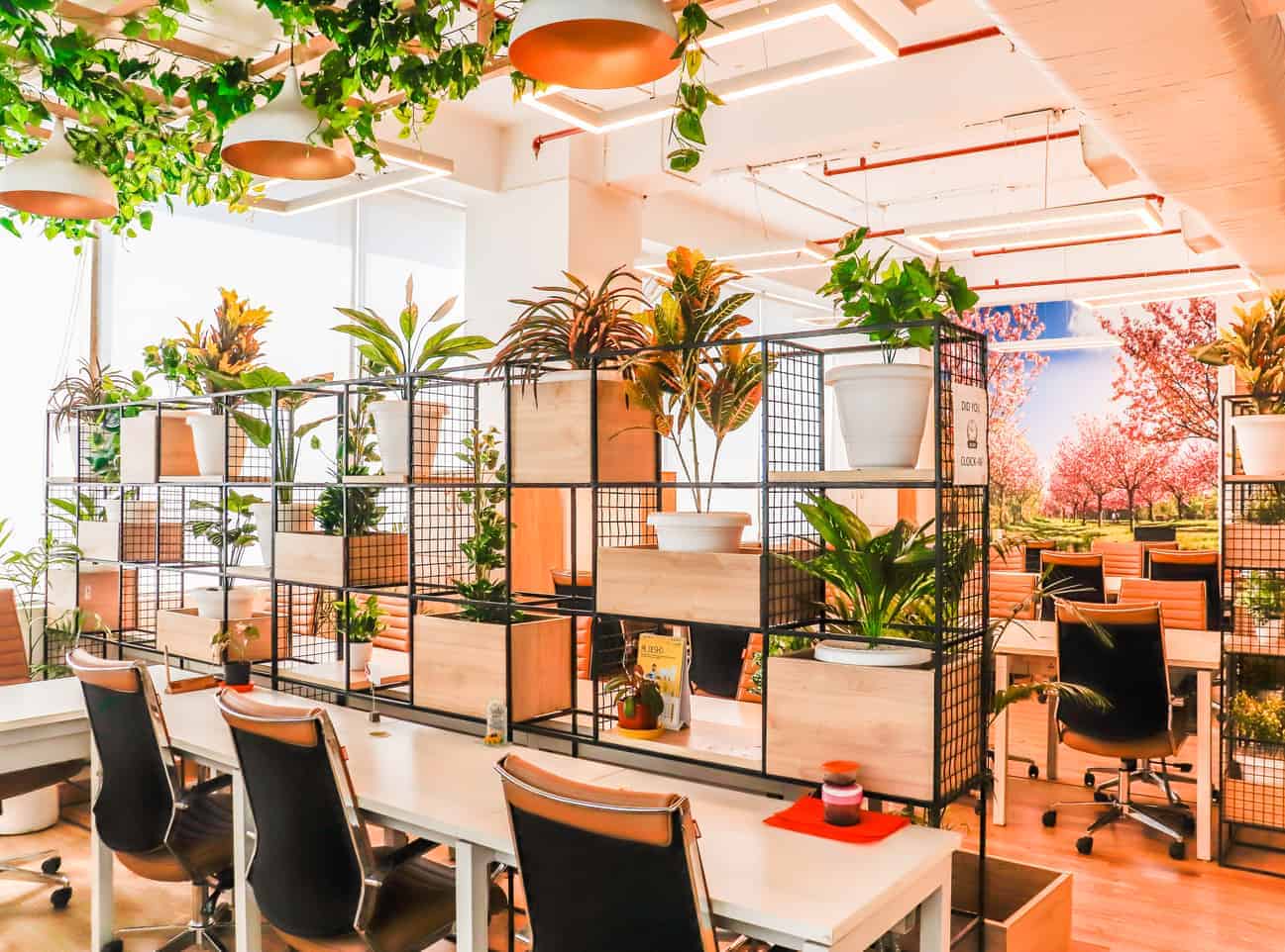 choosing coworking spaces